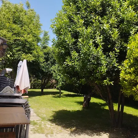 Vivienda Rural Huerta Del Medio 펜션